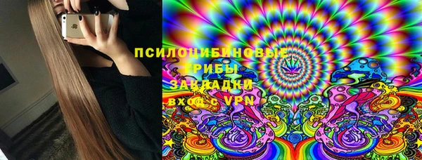 apvp Богородск