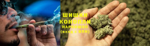 гидропоника Богданович