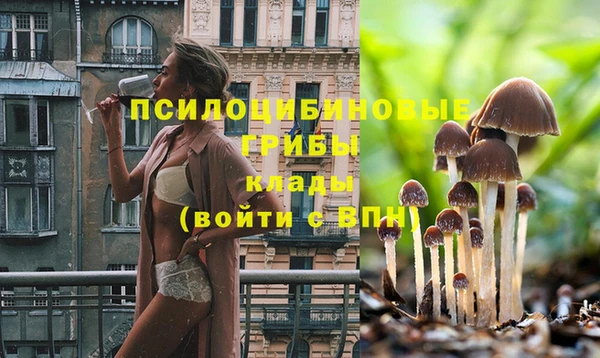 гидропоника Богданович