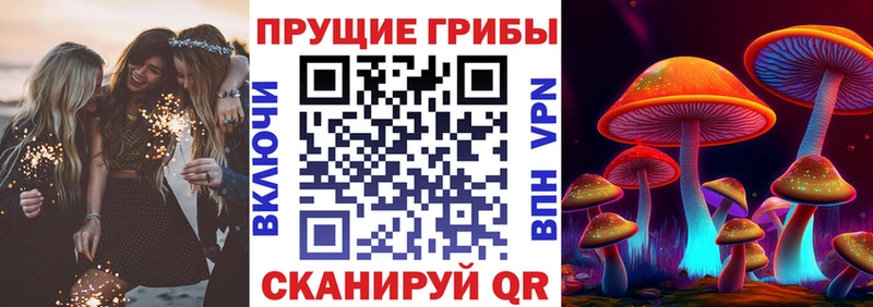 Галлюциногенные грибы Psilocybine cubensis  наркотики  Верхотурье 